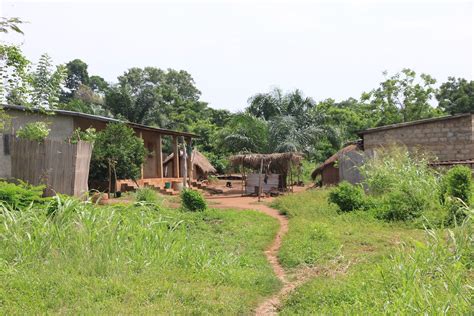 togo online booking|Togo Log In.